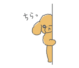Leon is a Toy Poodle.(Japanese) sticker #13438282