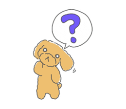 Leon is a Toy Poodle.(Japanese) sticker #13438283