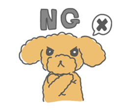 Leon is a Toy Poodle.(Japanese) sticker #13438289