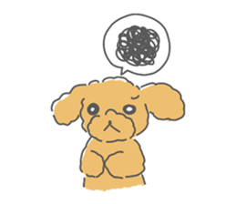 Leon is a Toy Poodle.(Japanese) sticker #13438293