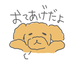 Leon is a Toy Poodle.(Japanese) sticker #13438294