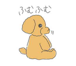 Leon is a Toy Poodle.(Japanese) sticker #13438295