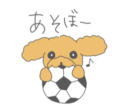 Leon is a Toy Poodle.(Japanese) sticker #13438299