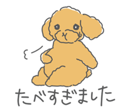 Leon is a Toy Poodle.(Japanese) sticker #13438301