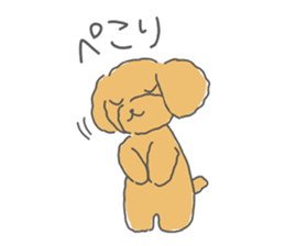 Leon is a Toy Poodle.(Japanese) sticker #13438304