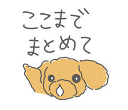 Leon is a Toy Poodle.(Japanese) sticker #13438307