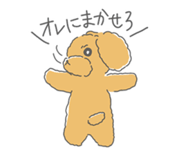 Leon is a Toy Poodle.(Japanese) sticker #13438310