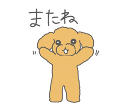 Leon is a Toy Poodle.(Japanese) sticker #13438313