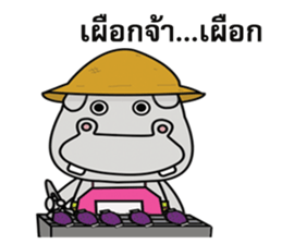 Somhip sticker #13440140