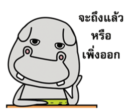 Somhip sticker #13440160