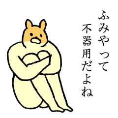 Chihuahua's name is Fumiya