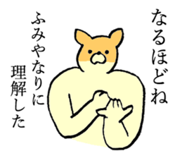 Chihuahua's name is Fumiya sticker #13441535