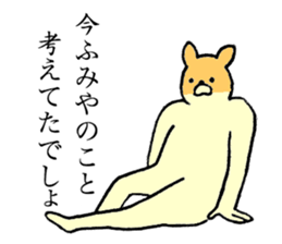 Chihuahua's name is Fumiya sticker #13441547