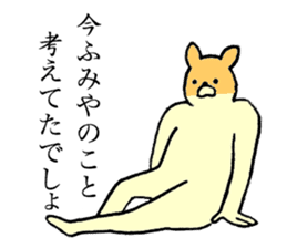 Chihuahua's name is Fumiya sticker #13441547