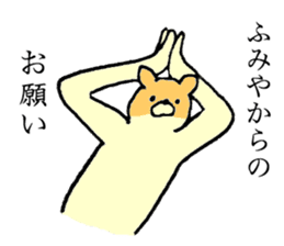 Chihuahua's name is Fumiya sticker #13441554