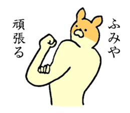 Chihuahua's name is Fumiya sticker #13441555