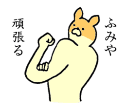 Chihuahua's name is Fumiya sticker #13441555