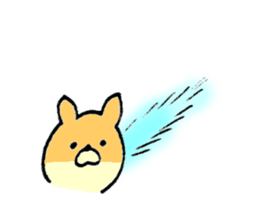 Chihuahua's name is Fumiya sticker #13441558