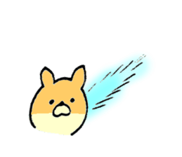 Chihuahua's name is Fumiya sticker #13441558