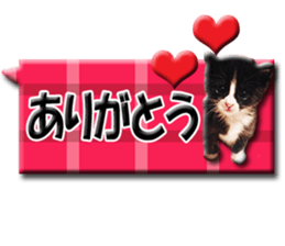 Howl sticker #13442078