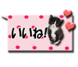 Howl sticker #13442081