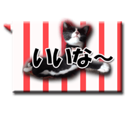 Howl sticker #13442082