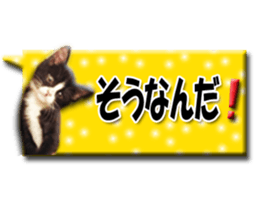 Howl sticker #13442084