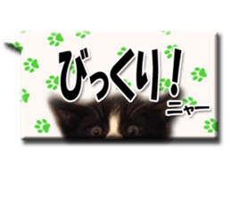 Howl sticker #13442086