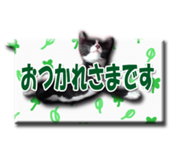 Howl sticker #13442089