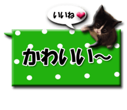 Howl sticker #13442090