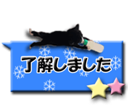 Howl sticker #13442092