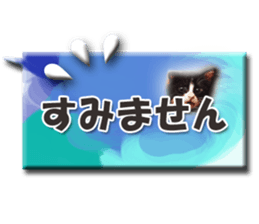 Howl sticker #13442093