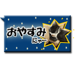 Howl sticker #13442094