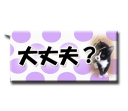 Howl sticker #13442096