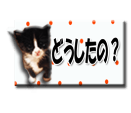 Howl sticker #13442099