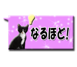 Howl sticker #13442100