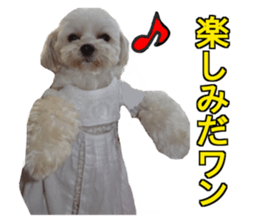 THE Ten-chan, chihuahua and maltese sticker #13442104