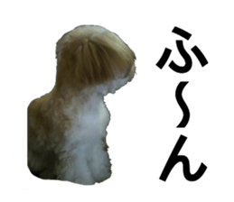 THE Ten-chan, chihuahua and maltese sticker #13442114