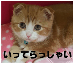 kinaco in my home sticker #13442177