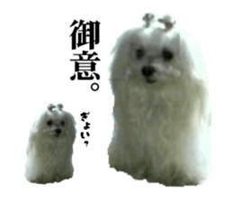 My little vivi sticker #13442246