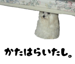 My little vivi sticker #13442247