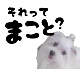 My little vivi sticker #13442248