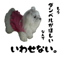 My little vivi sticker #13442259