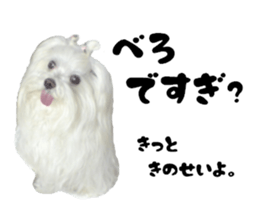 My little vivi sticker #13442261