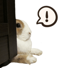 A-bu sticker #13442592