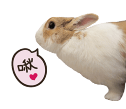 A-bu sticker #13442598