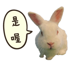 A-bu sticker #13442607