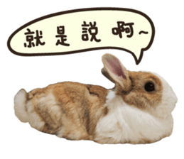 A-bu sticker #13442608