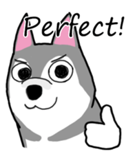 HahahaHusky sticker #13442639