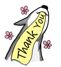 HahahaHusky sticker #13442643